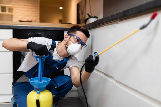 Flea Control Services in Spencer, TN