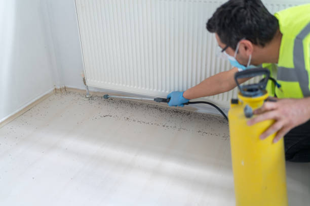 Best Bed Bug Extermination  in Spencer, TN