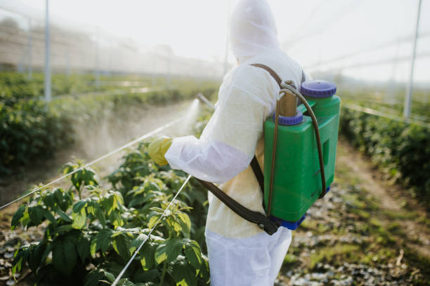 Best Best Pest Control Companies  in Spencer, TN